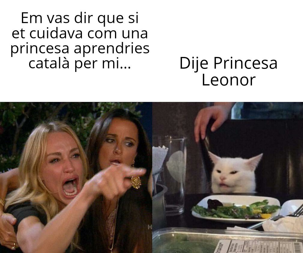 Meme Princesa Leonor y aprendre el Català