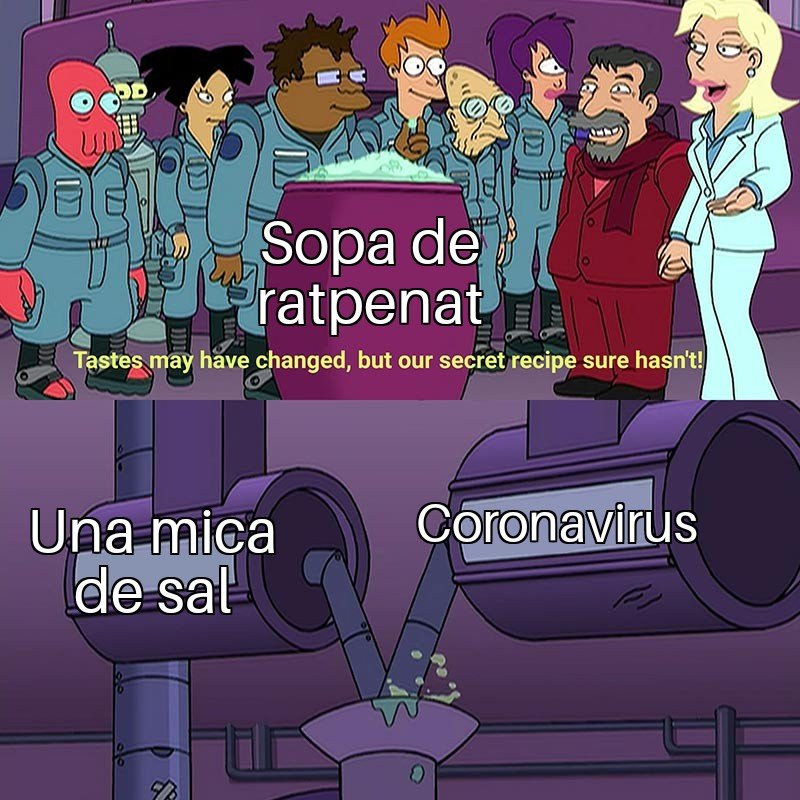 Fent una sopa de coronavirus