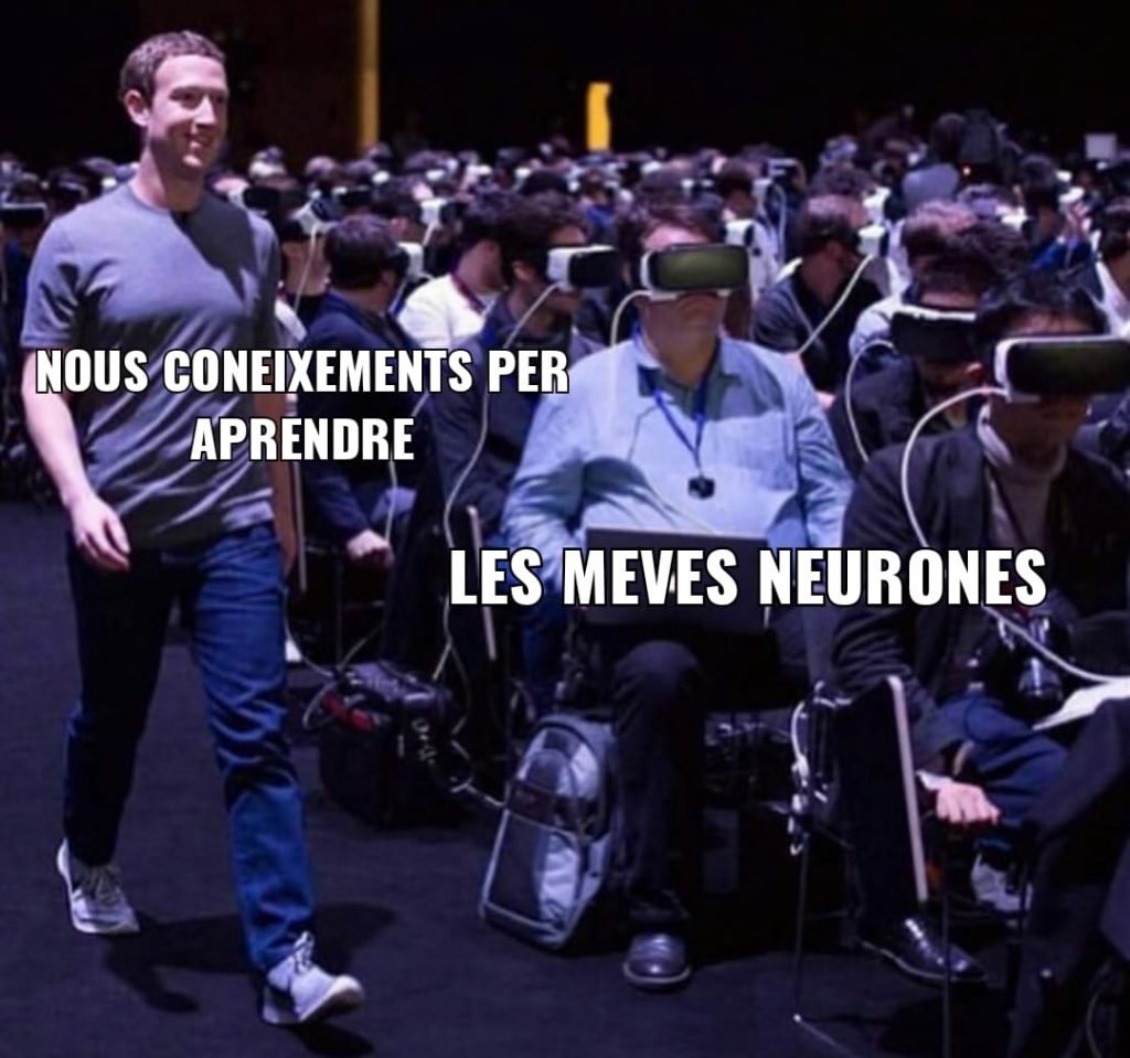 Meme sobre com les meves neurones no volen adquirir nous coneixements