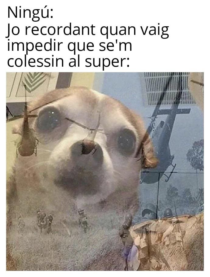 Meme sobre quan se t'intenten colar al supermercat
